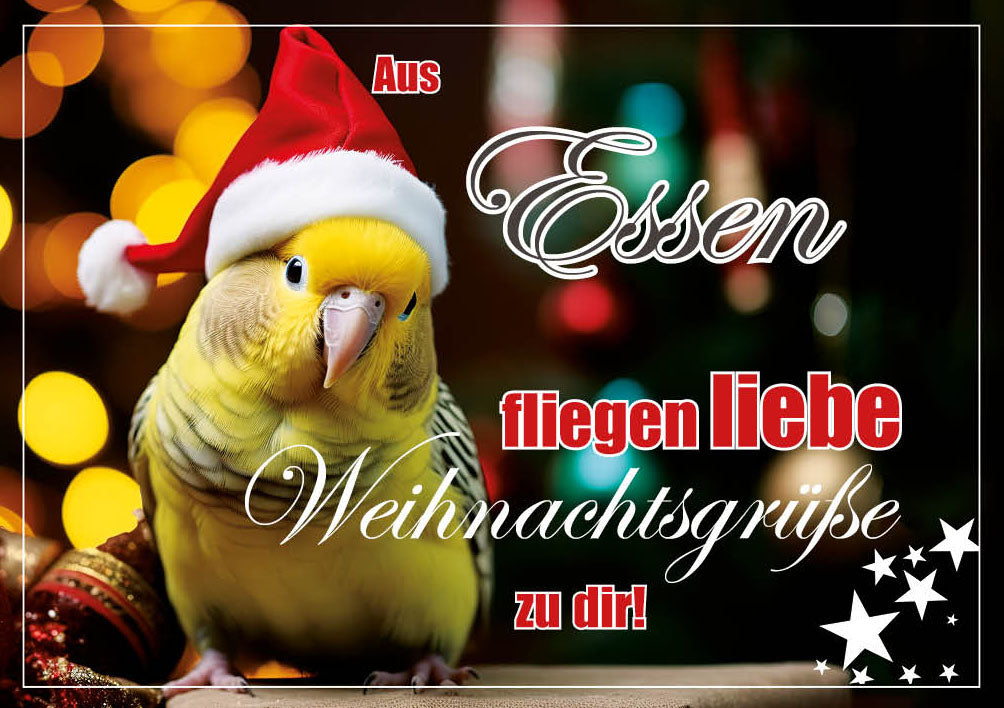 Grüße-aus-Karte Weihnachten „Wellensittich mit Mütze – Liebe Weihnachtsgrüße“