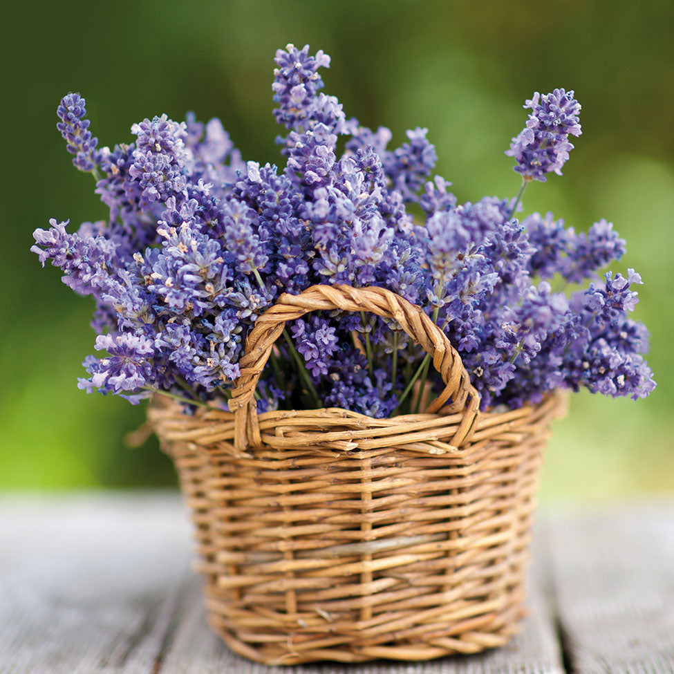 Servietten „Korb Lavendel“