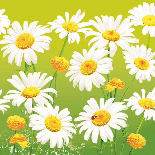 Servietten „Gänseblümchen“