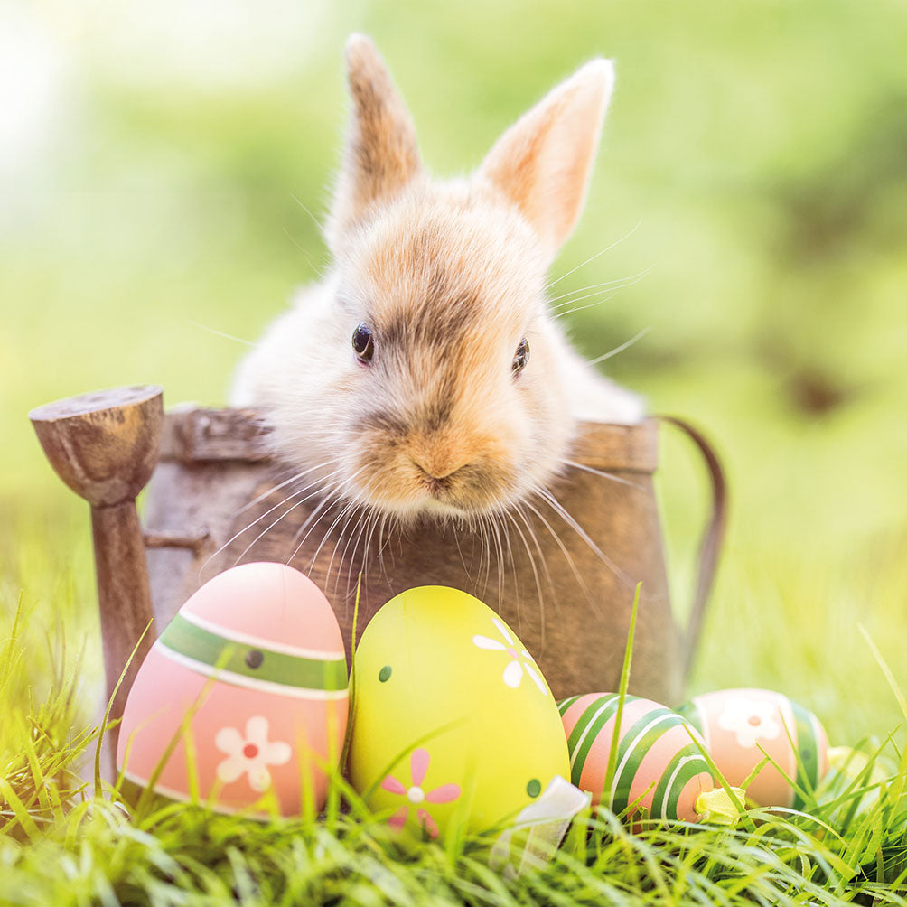 Servietten „Osterhase“